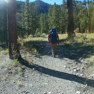 Meet your Posher, Rafael